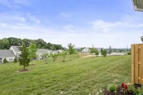 a view of a city from a yard