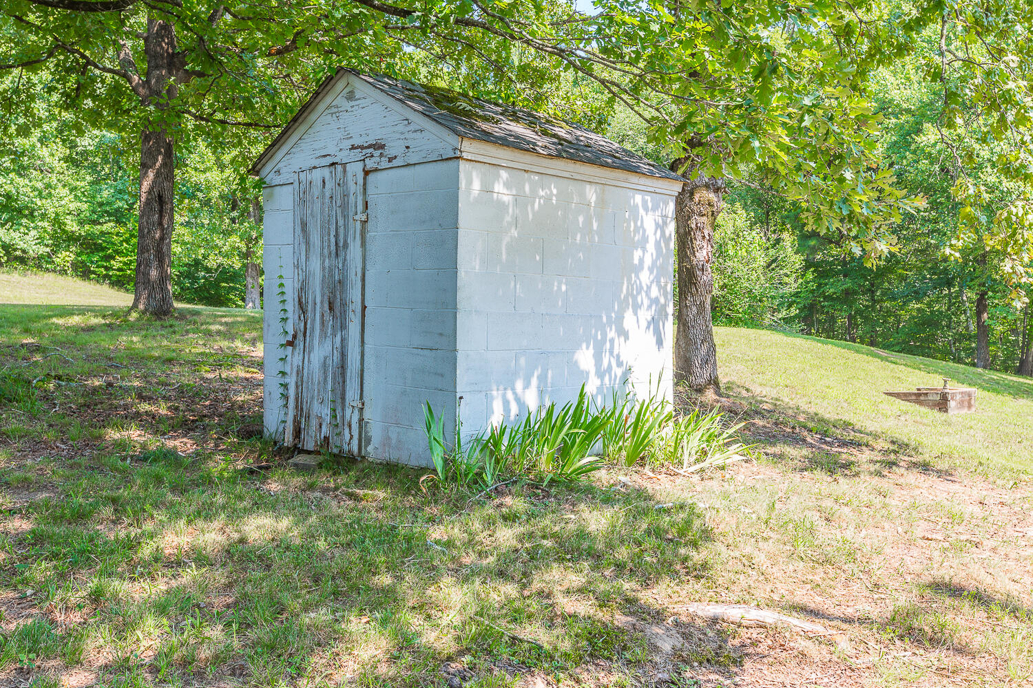 3011 River Road Northeast Dalton, GA 30721 - Photo 54 of 62 3011 River Road HD-24