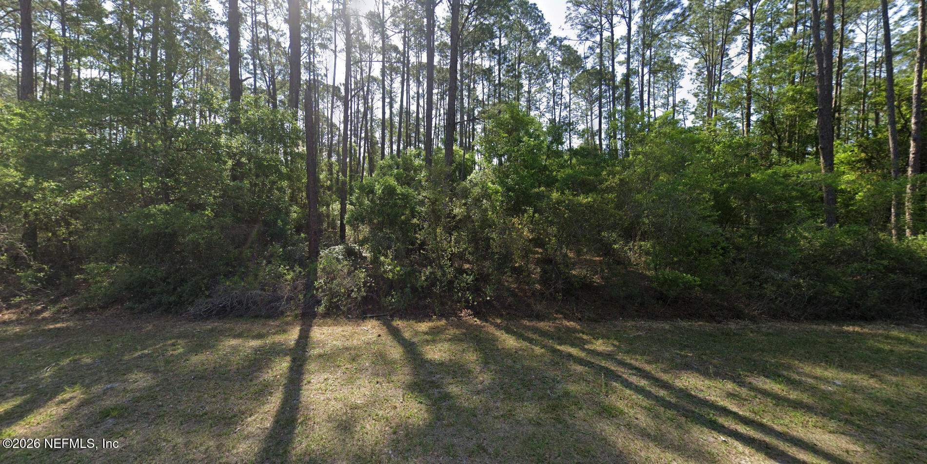 165 Georgetown Denver Road Georgetown, FL 32139 - Photo 4 of 7 a view of yard