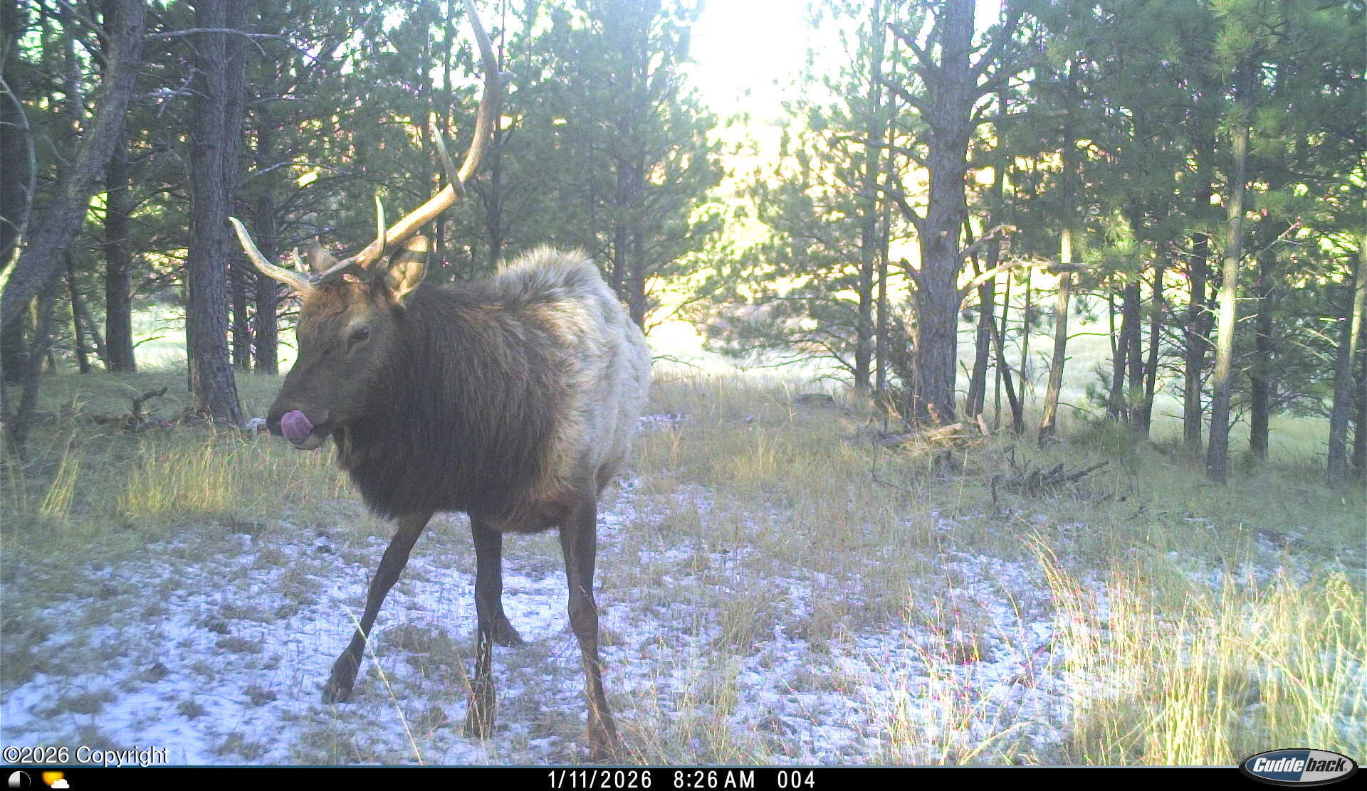 567 Dry Creek Road Upton, WY 82730 - Photo 16 of 22 Gallery Image 16