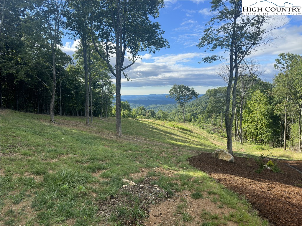 1701 Wildcat Road Deep Gap, NC 28618 - Photo 29 of 32 a view of outdoor space