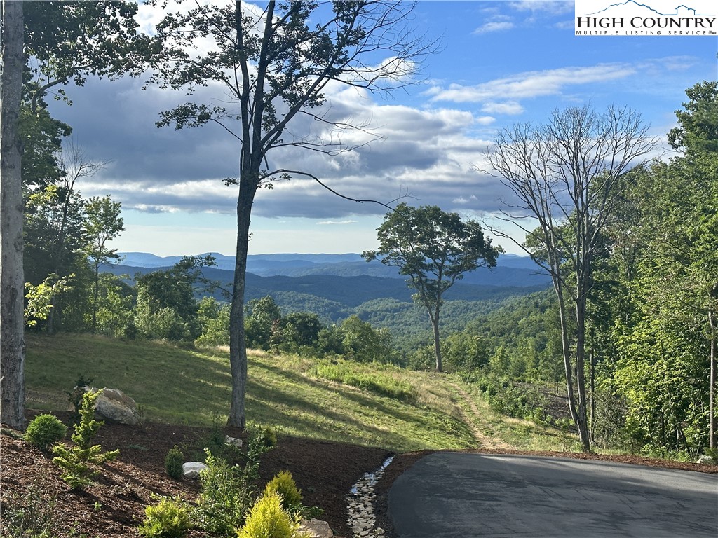 1701 Wildcat Road Deep Gap, NC 28618 - Photo 3 of 32 a view of a garden
