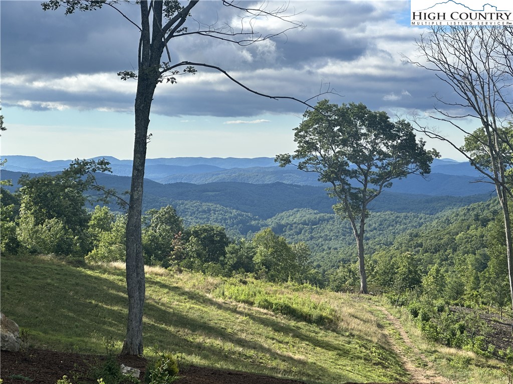 1701 Wildcat Road Deep Gap, NC 28618 - Photo 6 of 32 a tree in middle of the green field