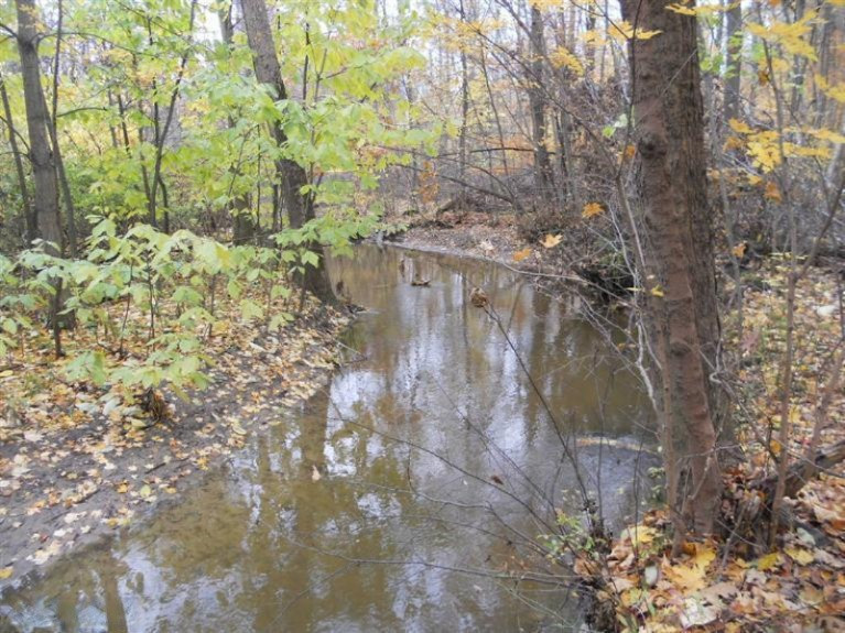 Hill Road Watervliet, MI 49098 - Photo 1 of 3 Primary Photo