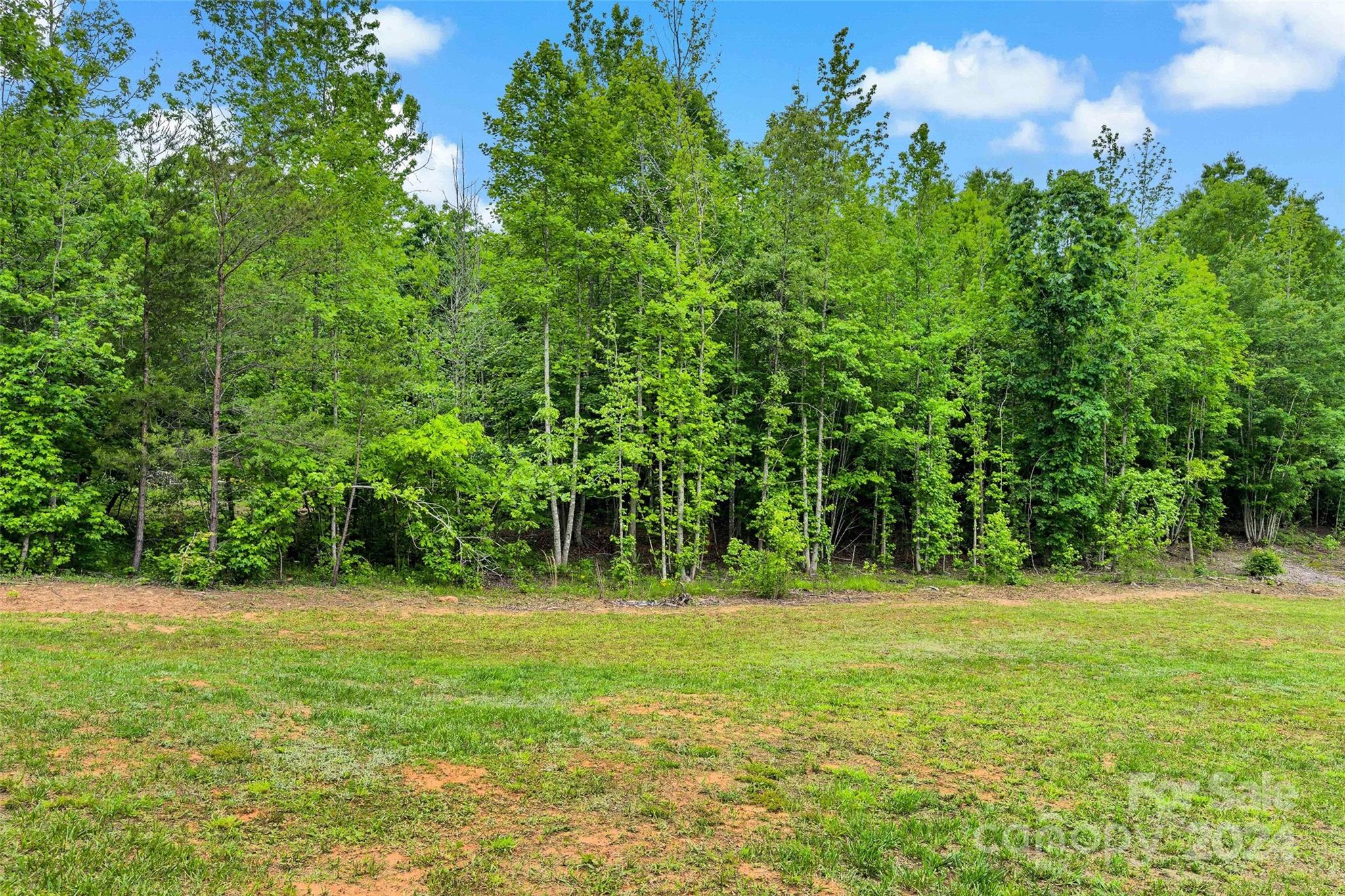 1117 Rutherford Drive Nebo, NC 28761 - Photo 43 of 44 Gallery Image 43