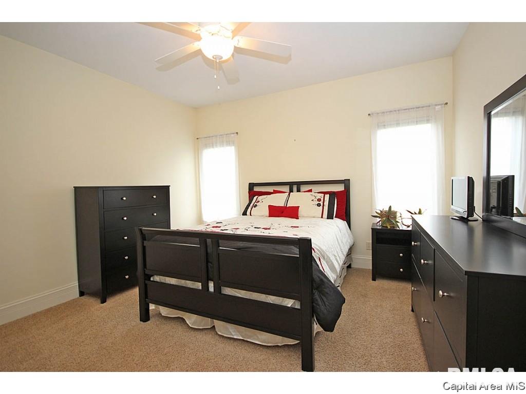 203 Cumberland Drive Rochester, IL 62563 - Photo 17 of 31 Gallery Image 17