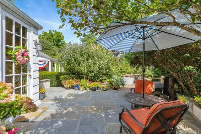 a view of a park with large trees