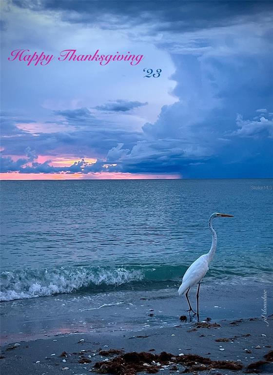 72 4th Avenue, Unit 72 Venice, FL 34285 - Photo 27 of 29 a view of a wooden floor