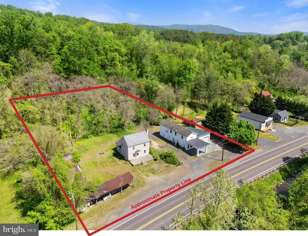 a view of a backyard with plants and a garden