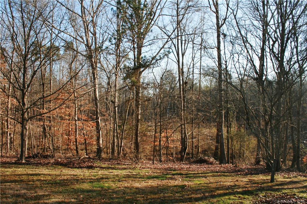 2512 Old Camden Road Monroe, NC 28110 - Photo 8 of 23 a view of outdoor space with fountain and trees