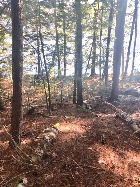 Tbd Tbd Vienna Woods Road Vienna, ME 04360 - Photo 5 of 13 Photo