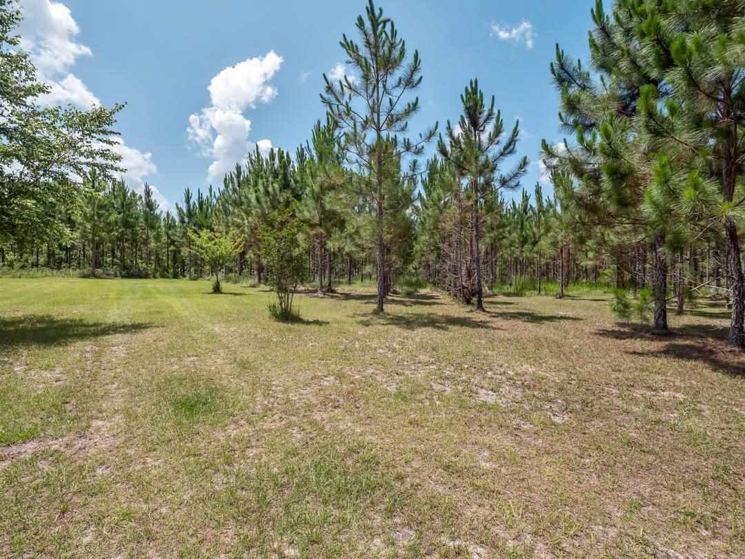 210 Davis Walker Road Perry, FL 32348 - Photo 16 of 36