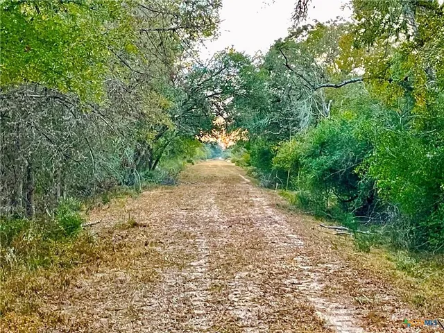 $2,900,000 | Tbd Tbd Fm-530, Hallettsville, TX 77964