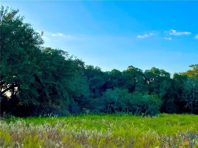 $2,900,000 | Tbd Tbd Fm-530, Hallettsville, TX 77964