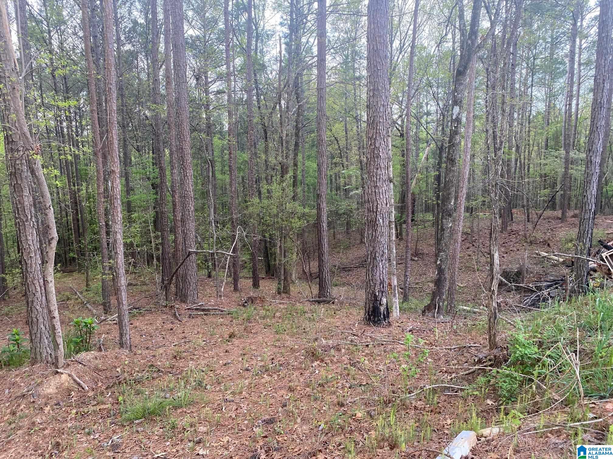 707 Sequoyah Road, Unit 1 Pell City, AL 35128 - Photo 13 of 18