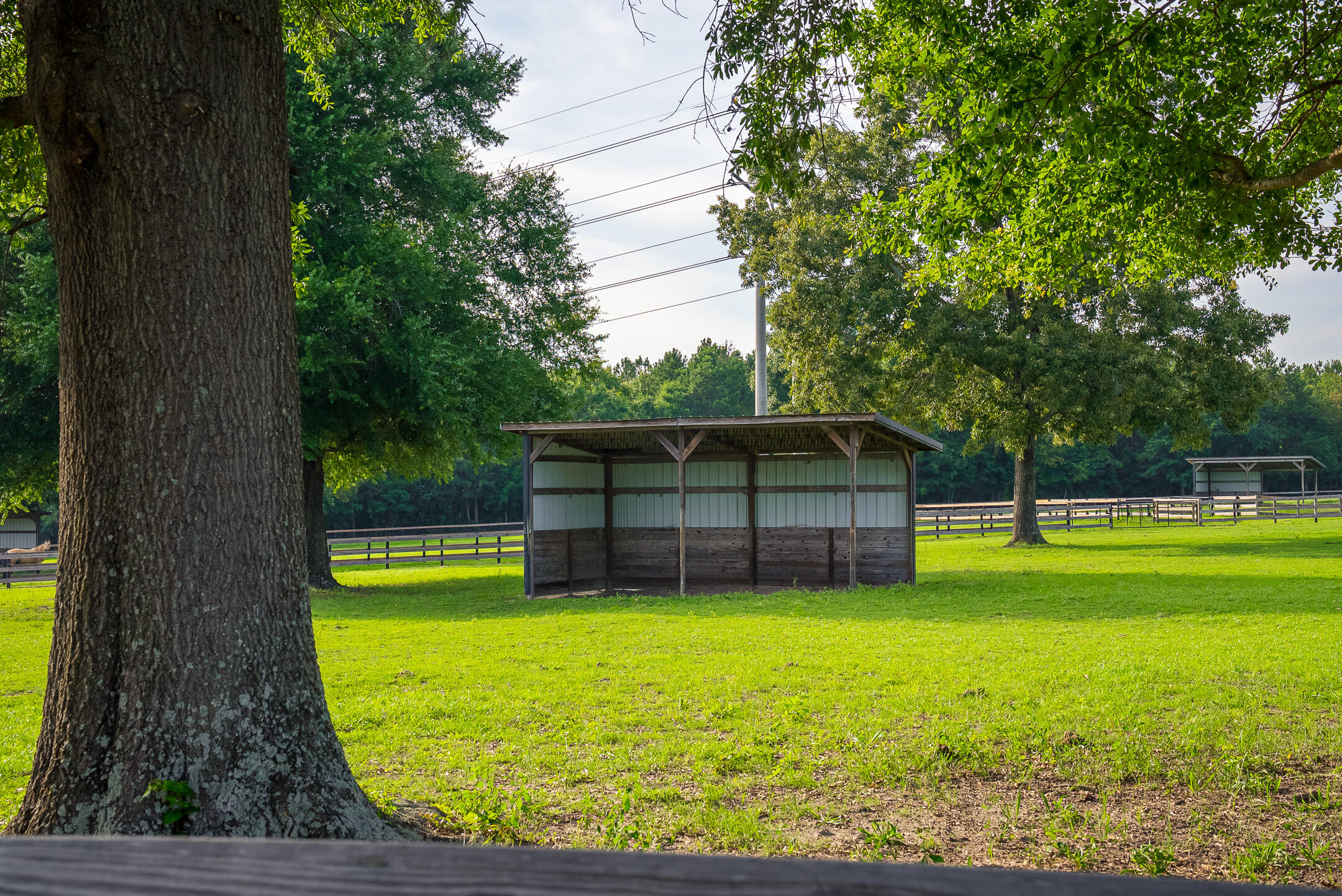 500 Burkelo Road Wagener, SC 29164 - Photo 66 of 80