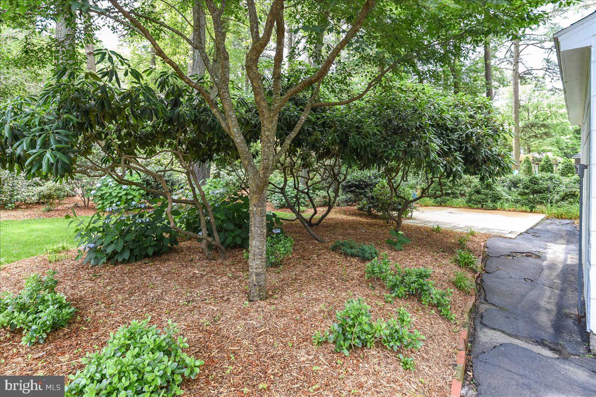 612 Fountain Road Salisbury, MD 21801 - Photo 53 of 65 Gallery Image 53