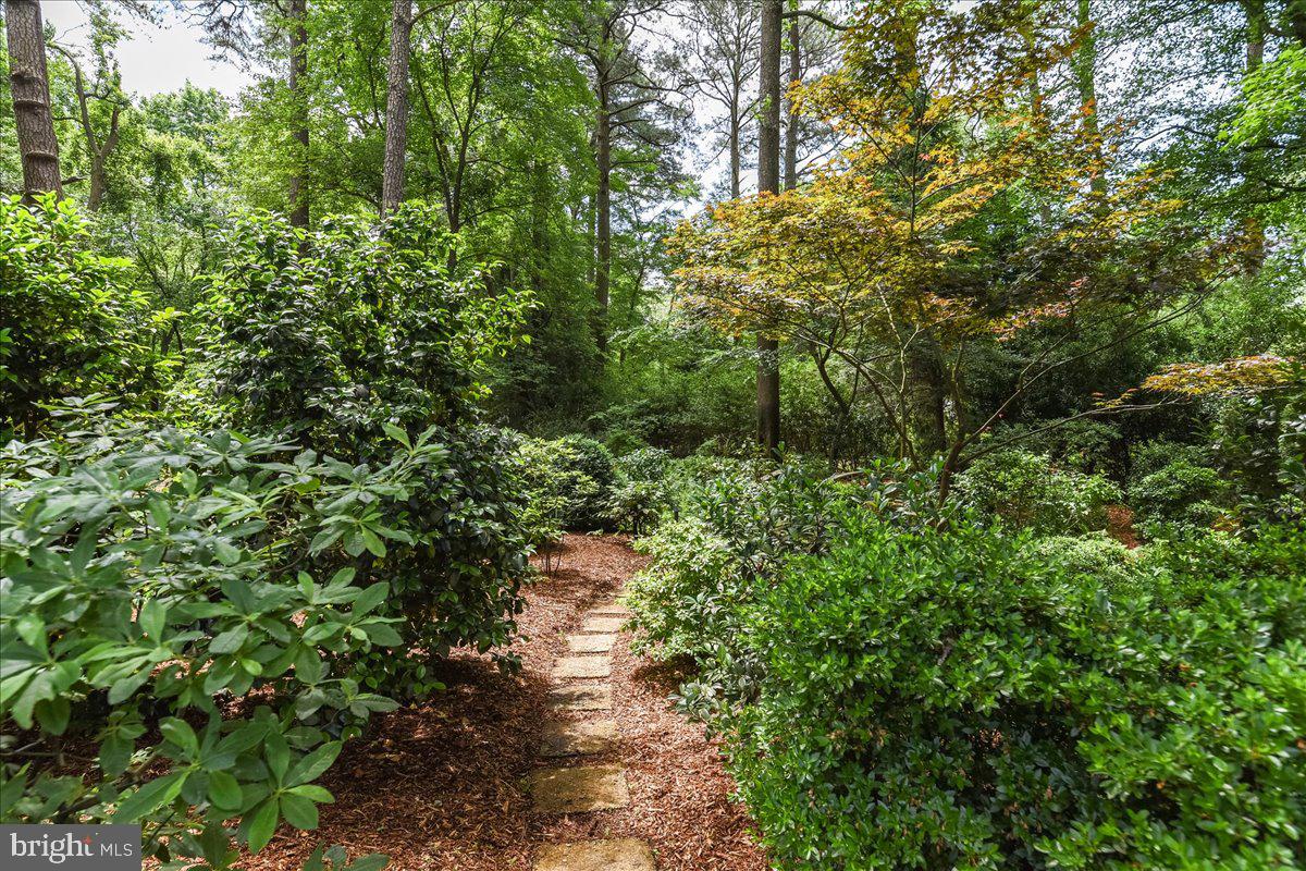 612 Fountain Road Salisbury, MD 21801 - Photo 55 of 65 Gallery Image 55