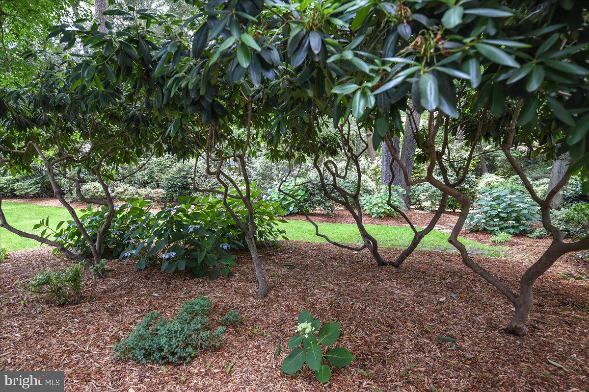 612 Fountain Road Salisbury, MD 21801 - Photo 61 of 65 Gallery Image 61