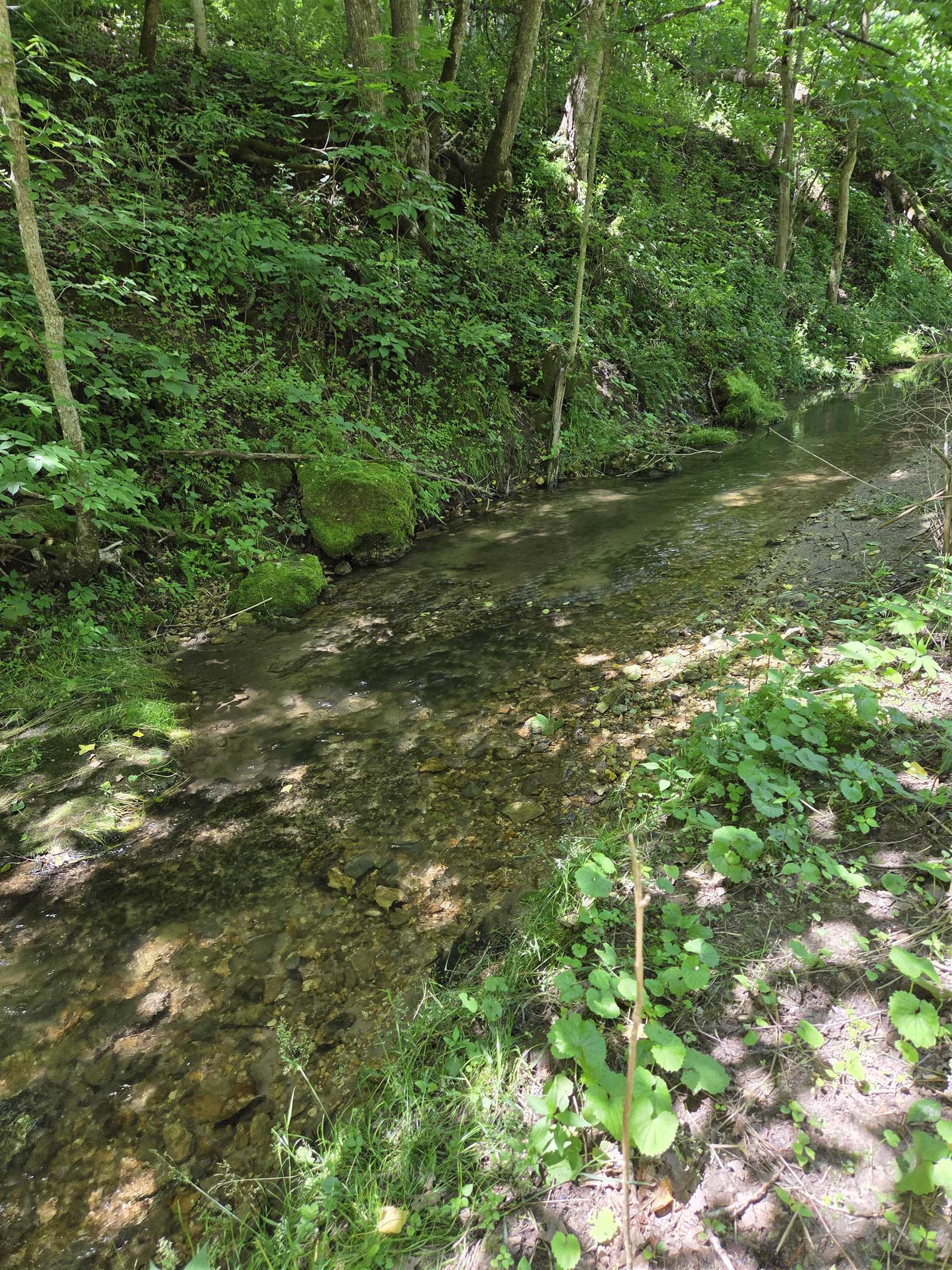 13035 Canyon Falls Road Mount Hope, WI 53816 - Photo 40 of 61