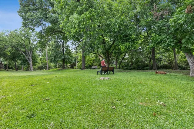 a view of garden with trees