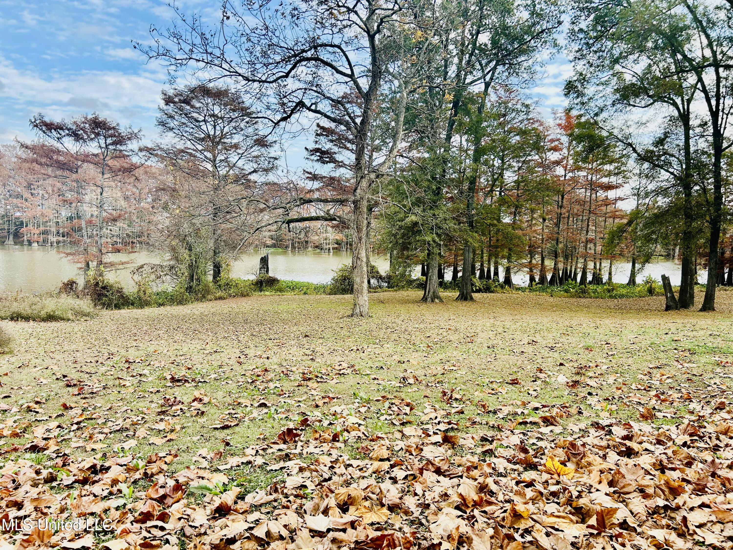 Lakeshore Itta Bena, MS 38941 - Photo 3 of 7 IMG_2074
