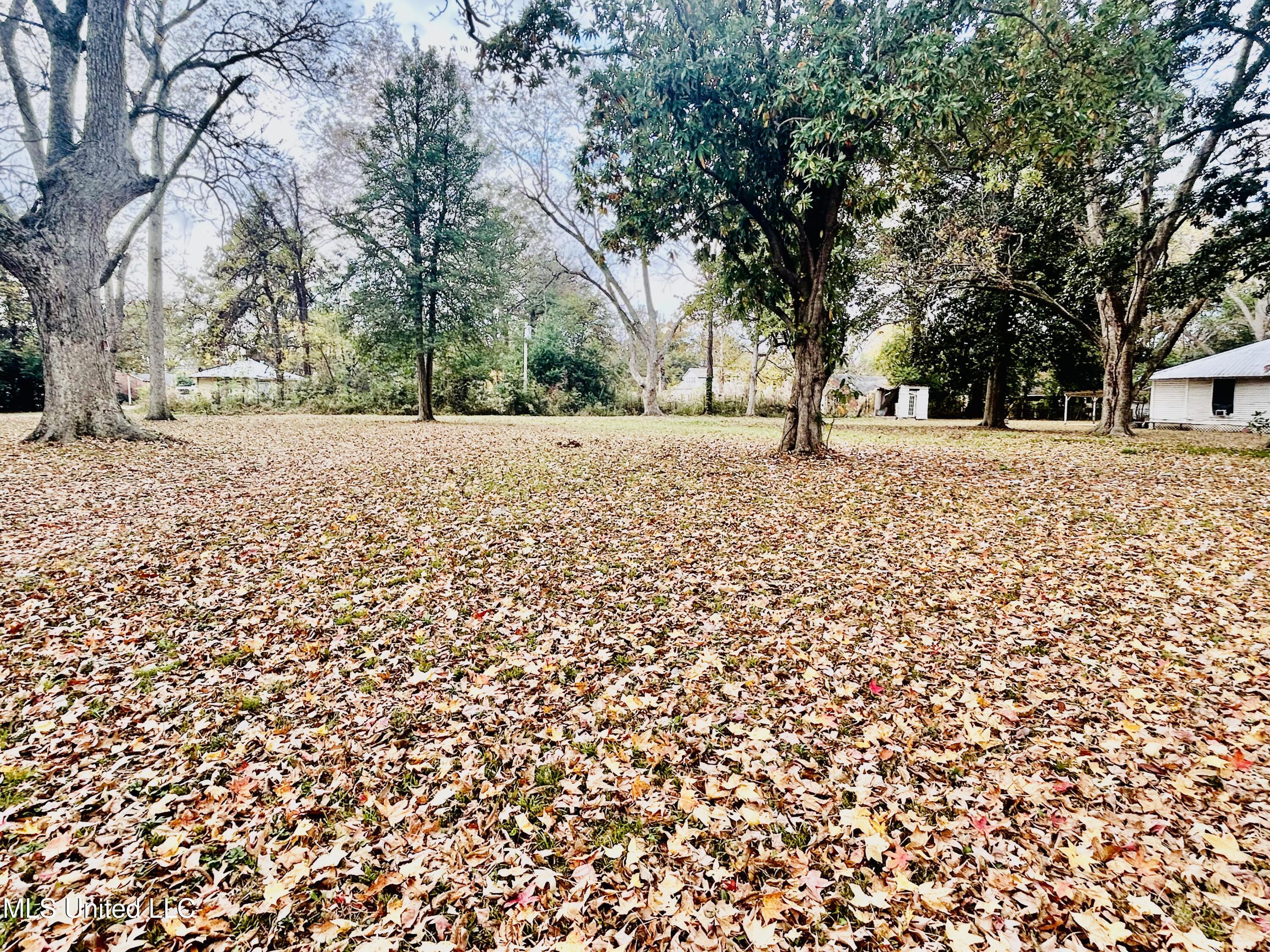 Lakeshore Itta Bena, MS 38941 - Photo 5 of 7 IMG_2077