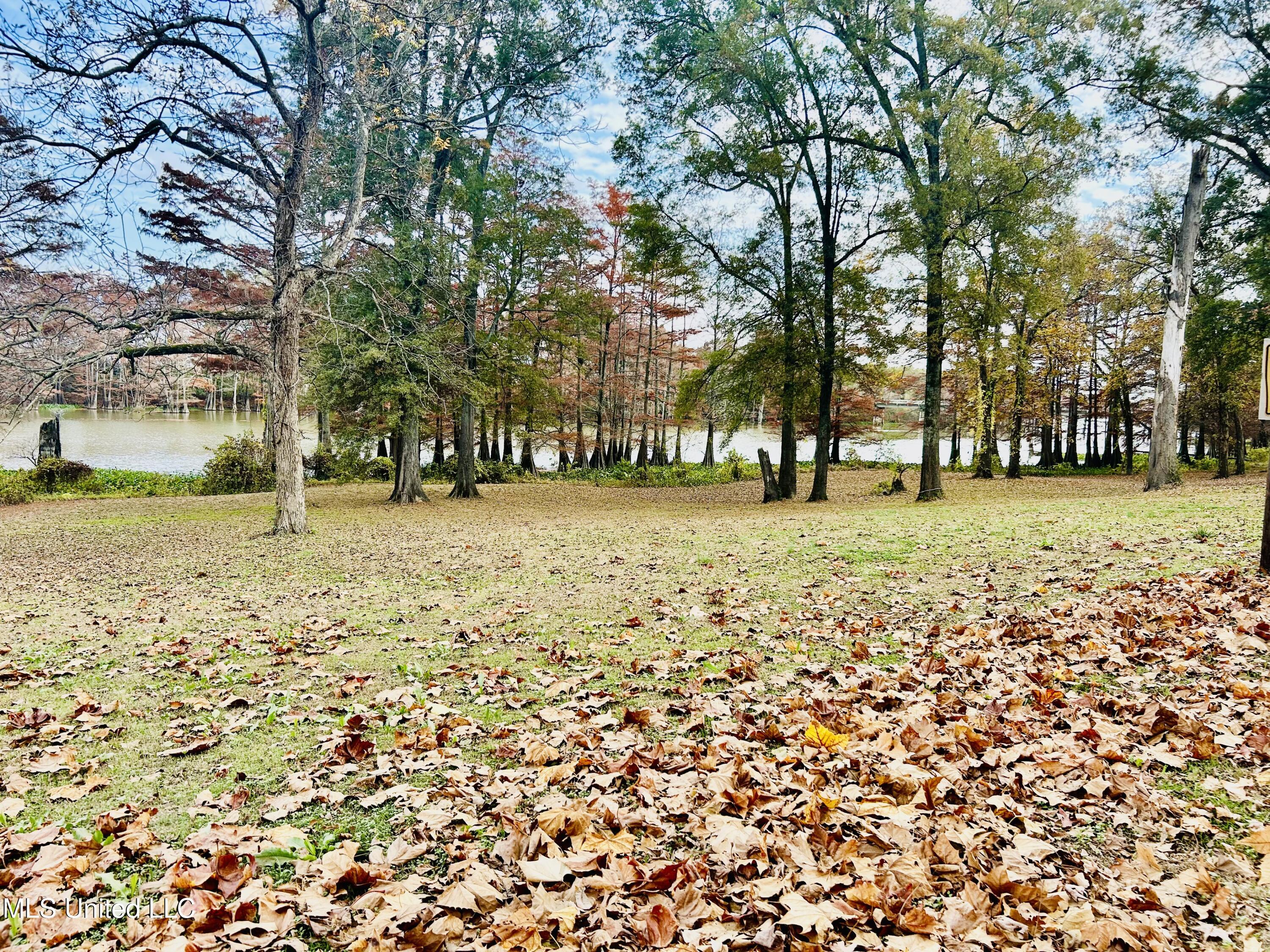 Lakeshore Itta Bena, MS 38941 - Photo 6 of 7 IMG_2073