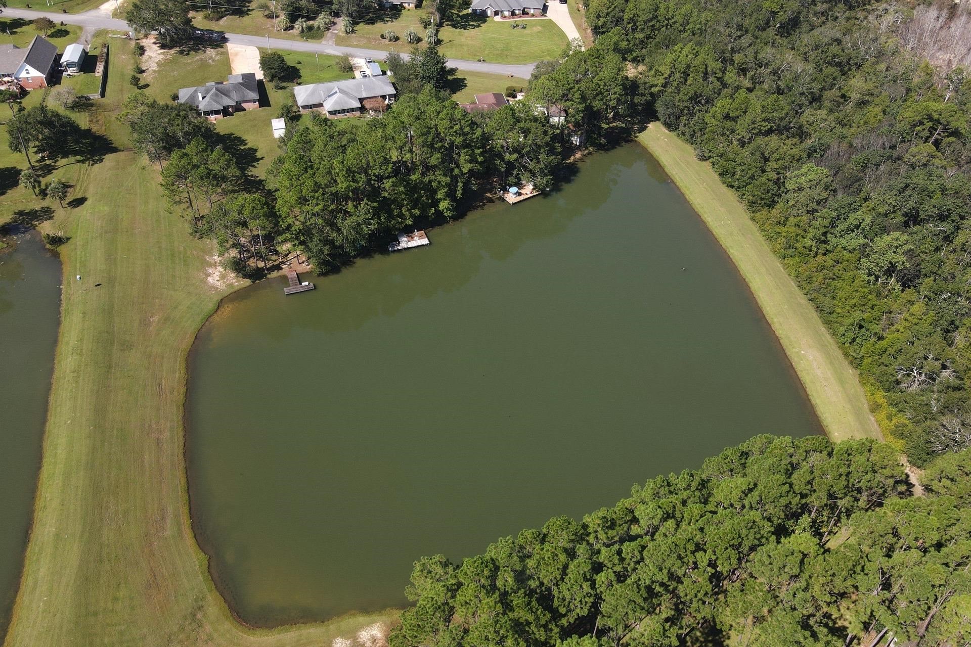 20021 Erin Pond Road Seminole, AL 36574 - Photo 5 of 34