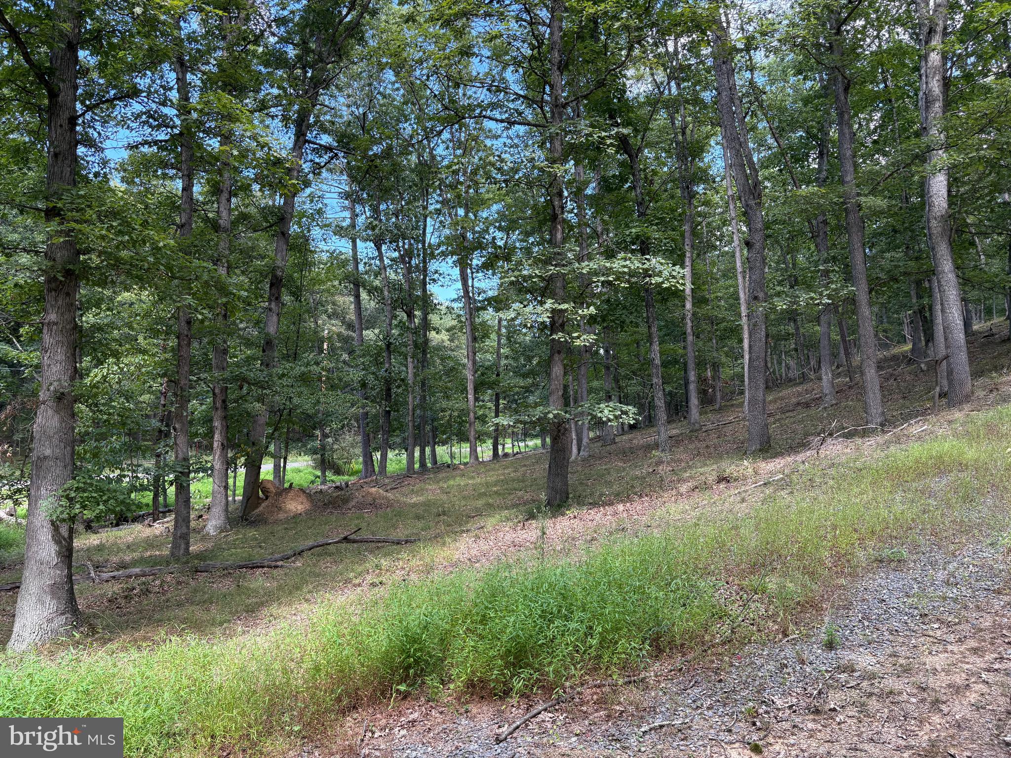 20.32-ac Trough Road Moorefield, WV 26836 - Photo 14 of 19 Gallery Image 14