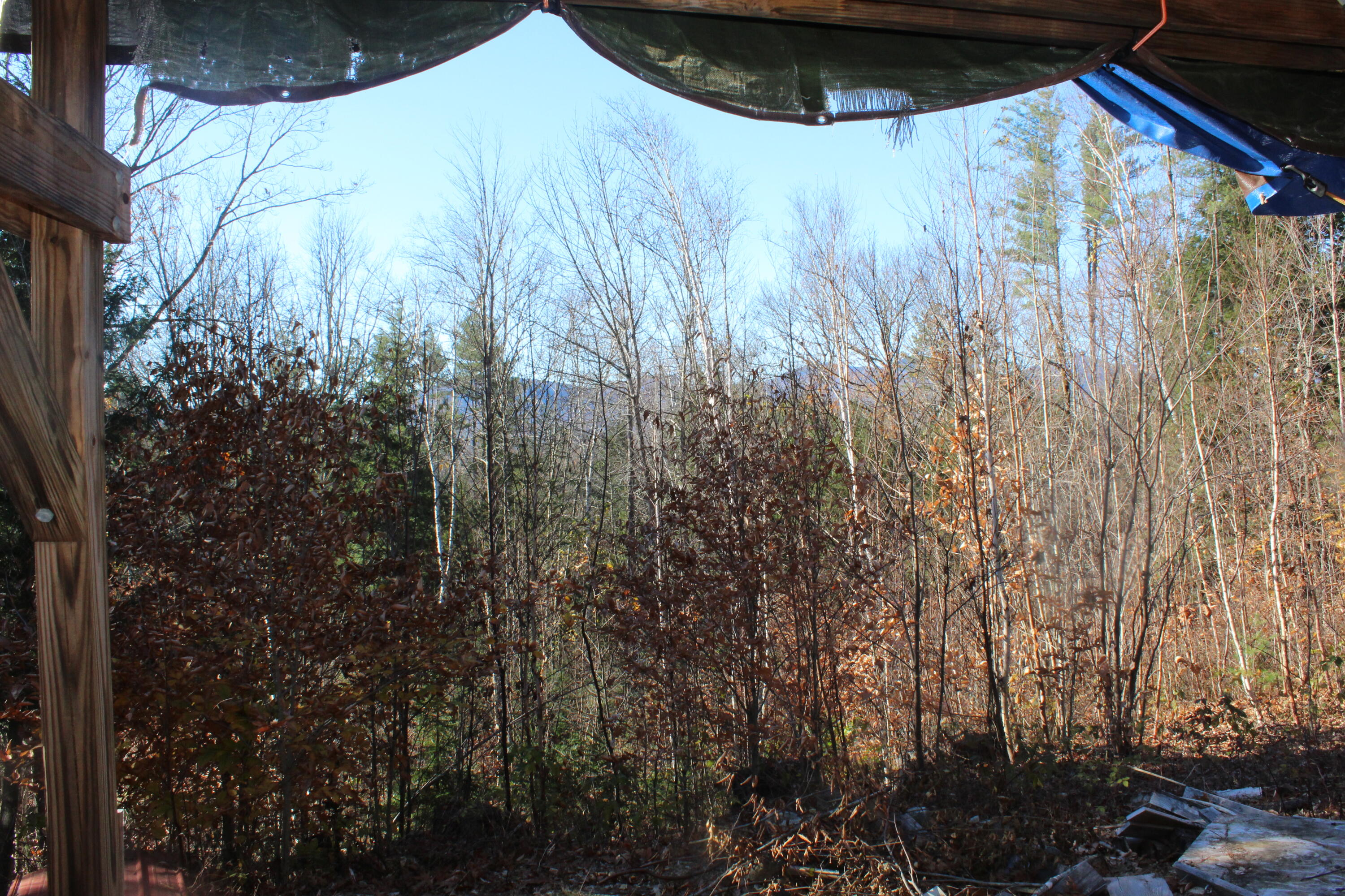 Lot # South Barbour Road Stow, ME 04037 - Photo 18 of 36 Views from Covered Shed