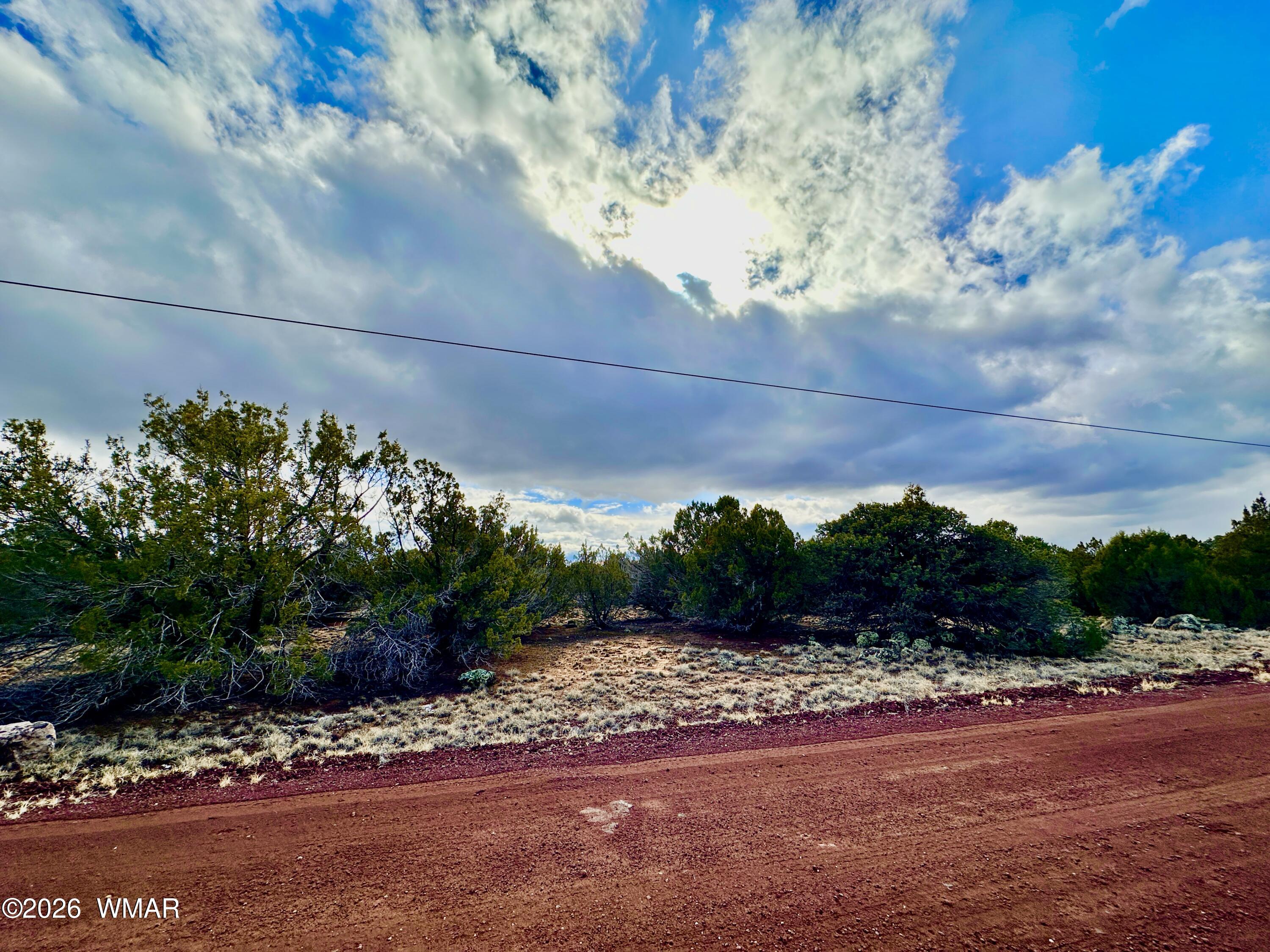 14 County Road Concho, AZ 85924 - Photo 2 of 5 FullSizeRender