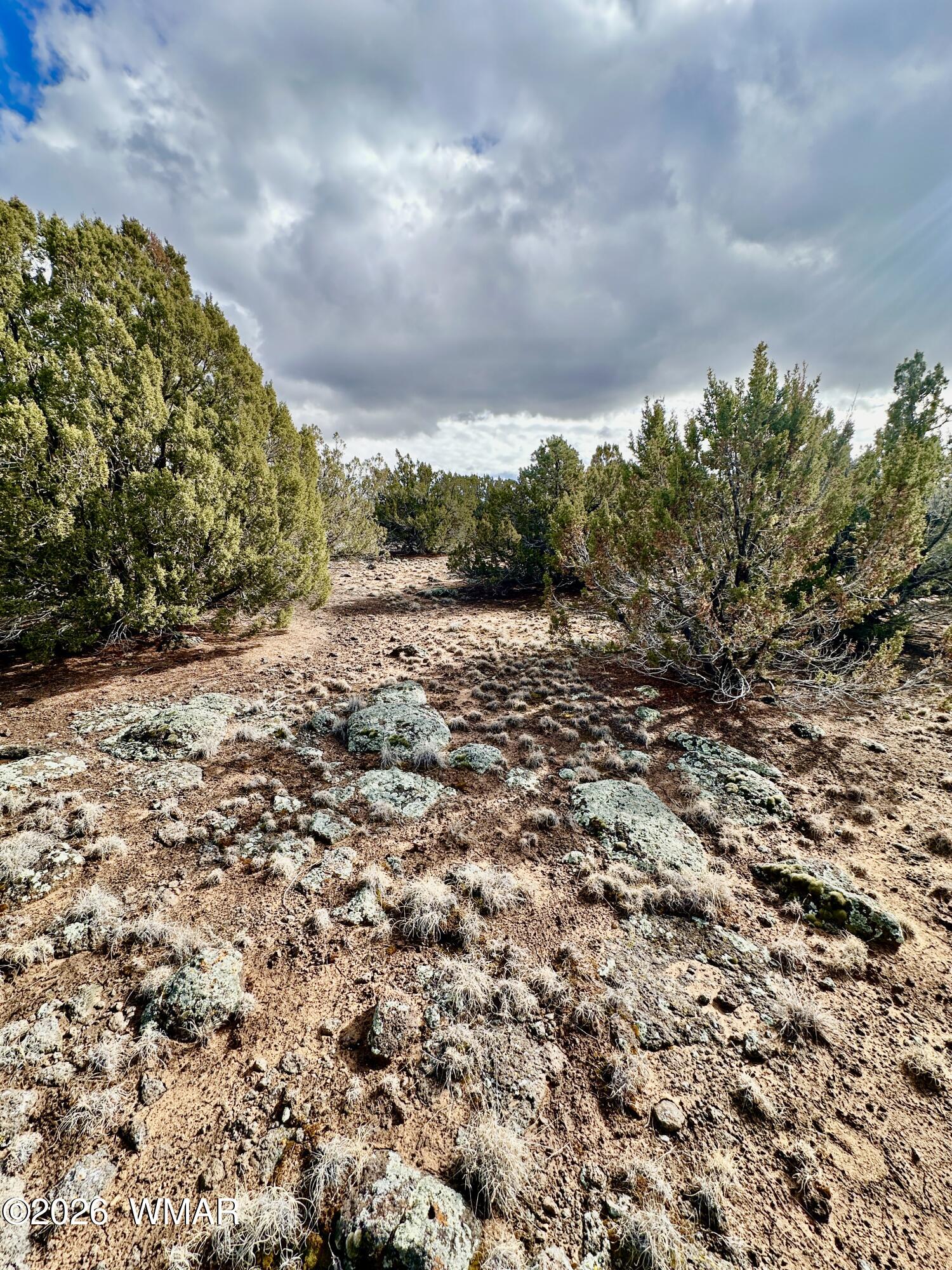 14 County Road Concho, AZ 85924 - Photo 3 of 5 FullSizeRender