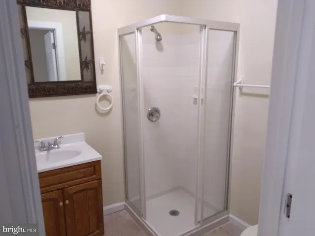 a bathroom with a shower a sink and a mirror
