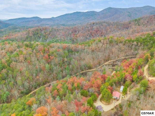 4357 Wilhite Road Cosby, TN 37722 - Photo 34 of 35 Gallery Image 34