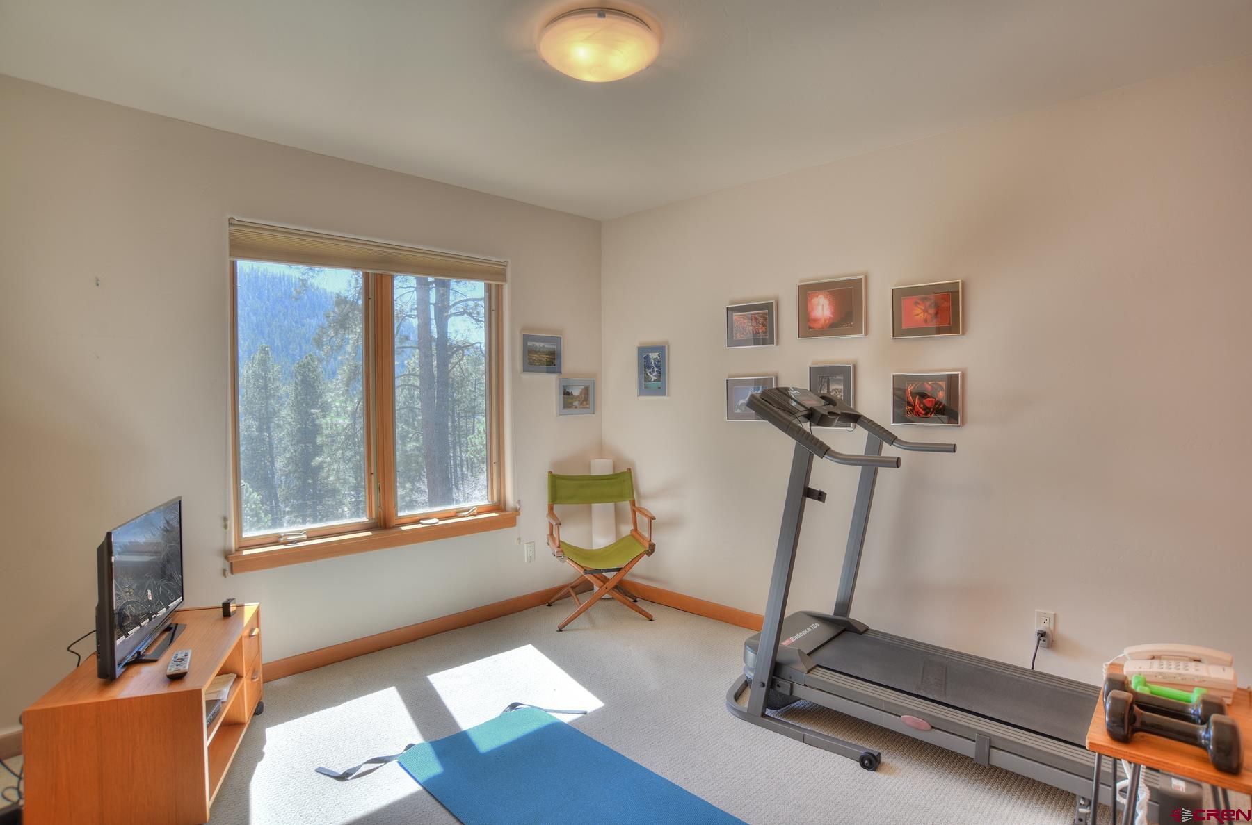 95 Puma Place Durango, CO 81301 - Photo 33 of 45 a view of a room with gym equipment