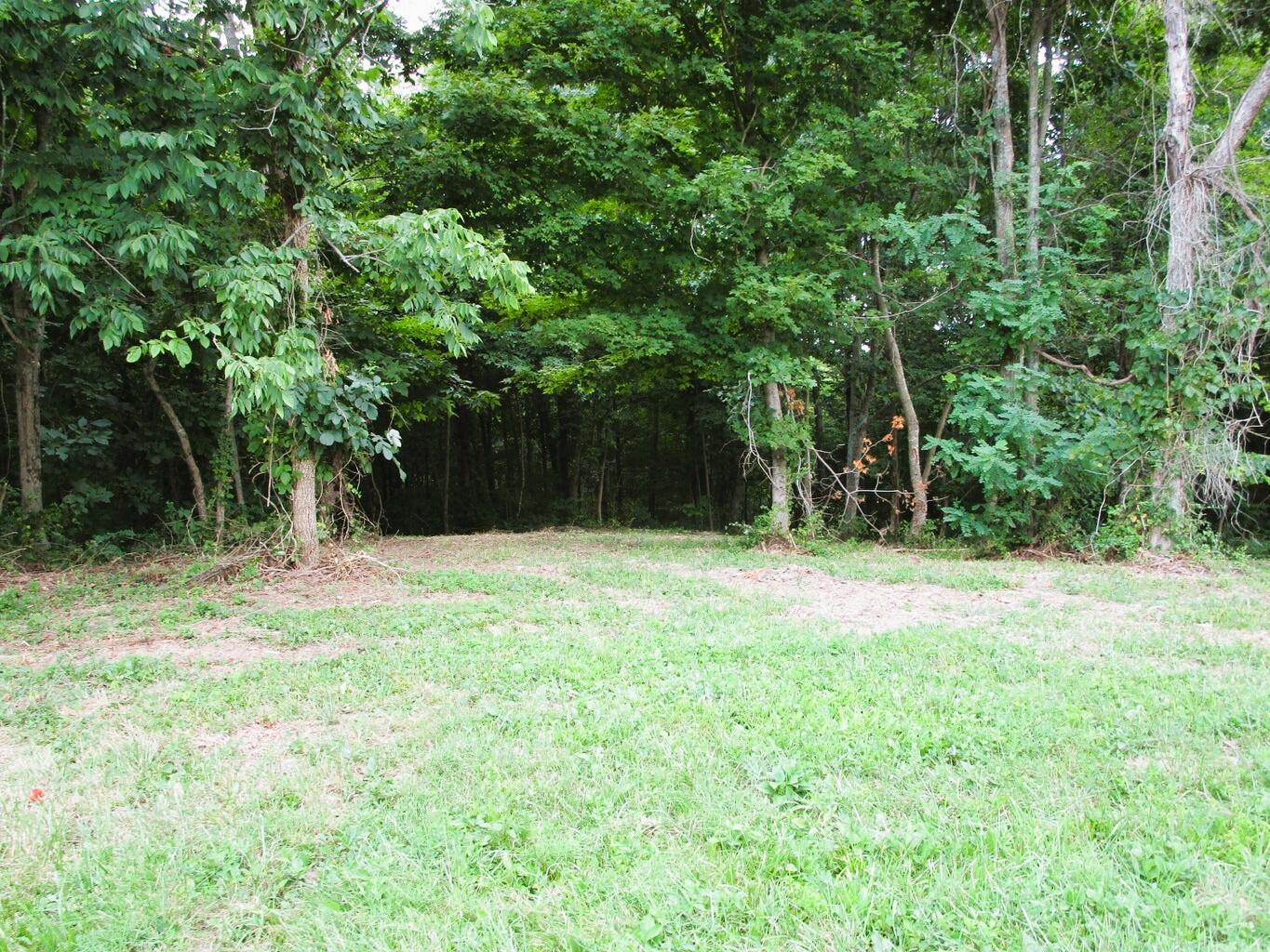 11.5-ac Osborne Road Dry Ridge, KY 41035 - Photo 11 of 38 Osborne 11