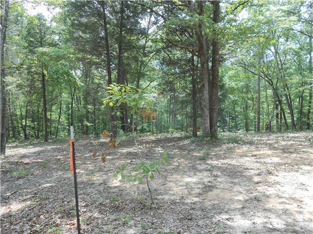 7742 Caney Fork Road Fairview, TN 37062 - Photo 1 of 17