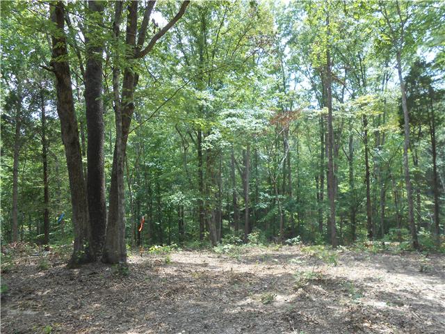 7742 Caney Fork Road Fairview, TN 37062 - Photo 2 of 17