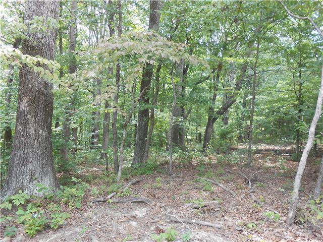 7742 Caney Fork Road Fairview, TN 37062 - Photo 11 of 17