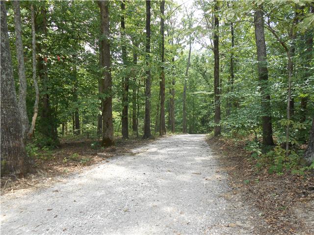 7742 Caney Fork Road Fairview, TN 37062 - Photo 12 of 17