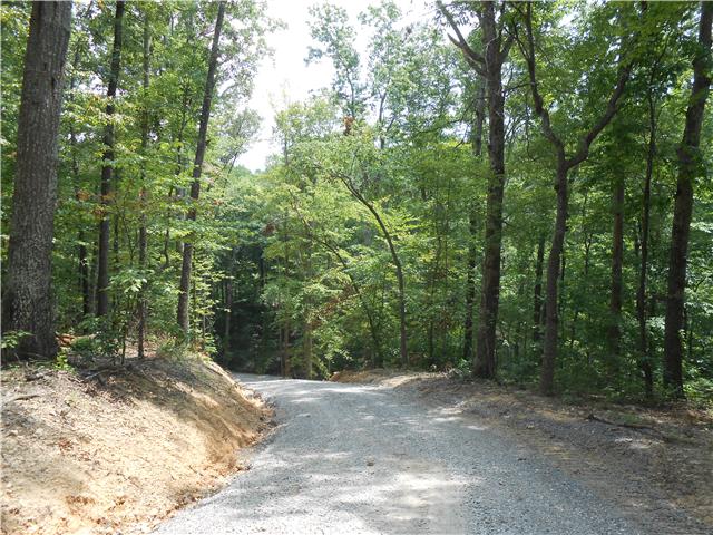 7742 Caney Fork Road Fairview, TN 37062 - Photo 13 of 17
