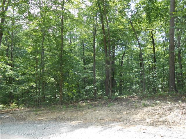 7742 Caney Fork Road Fairview, TN 37062 - Photo 14 of 17