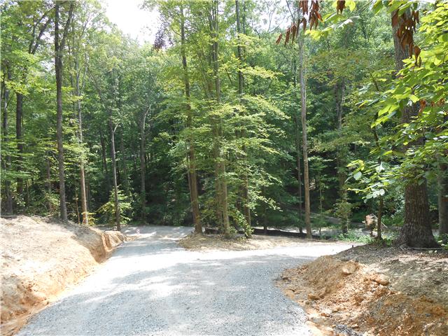 7742 Caney Fork Road Fairview, TN 37062 - Photo 15 of 17