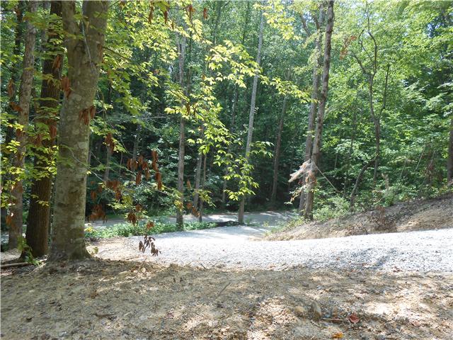 7742 Caney Fork Road Fairview, TN 37062 - Photo 16 of 17