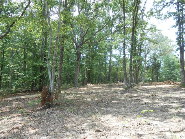 7742 Caney Fork Road Fairview, TN 37062 - Photo 3 of 17