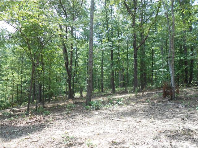 7742 Caney Fork Road Fairview, TN 37062 - Photo 4 of 17