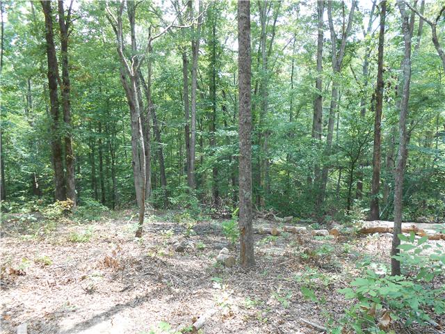 7742 Caney Fork Road Fairview, TN 37062 - Photo 5 of 17