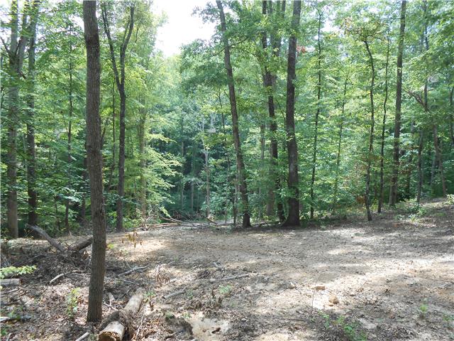 7742 Caney Fork Road Fairview, TN 37062 - Photo 6 of 17