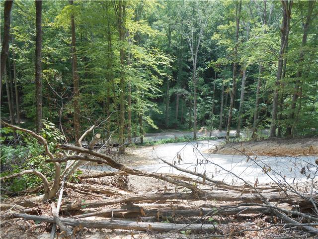 7742 Caney Fork Road Fairview, TN 37062 - Photo 7 of 17